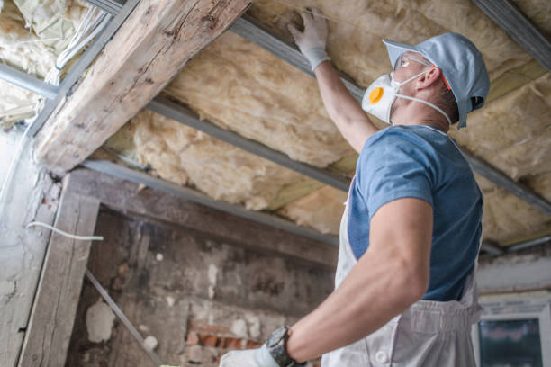 Best Insulation for Specific Applications in Little Falls, MN