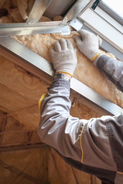 Professional Insulation Contractor in MN