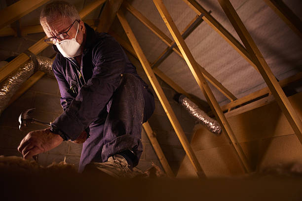 Best Insulation Maintenance and Repair in Little Falls, MN